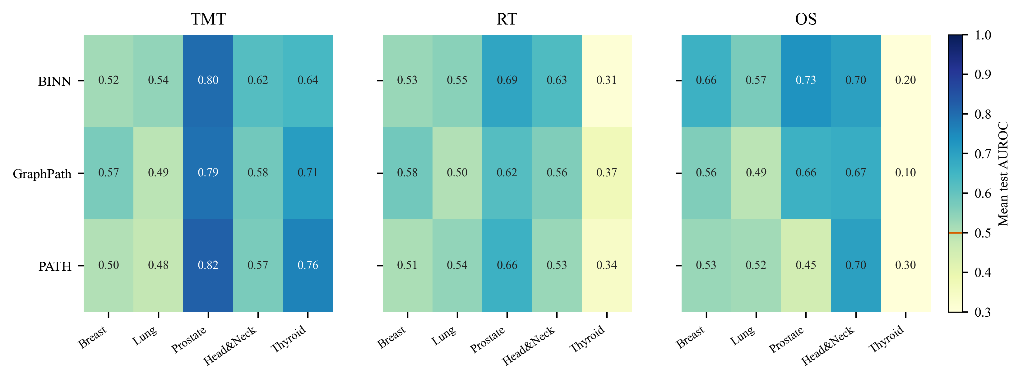 Heatmap of mean test AUROC per model-cohort cell for each clinical head, with every cell annotated with its numeric value