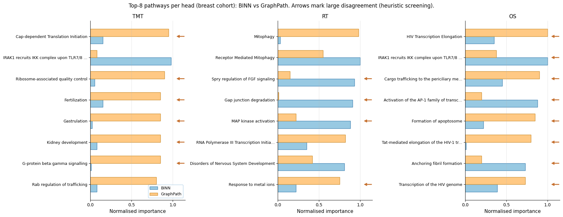 Normalised pathway importance scores for BINN and GraphPath across the TMT, RT, and OS heads on the breast cohort, with arrows flagging large between-model differences